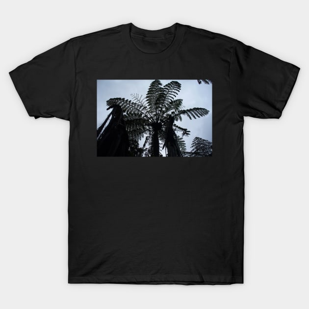 Tree Fern Silhouette T-Shirt by KaSaPo